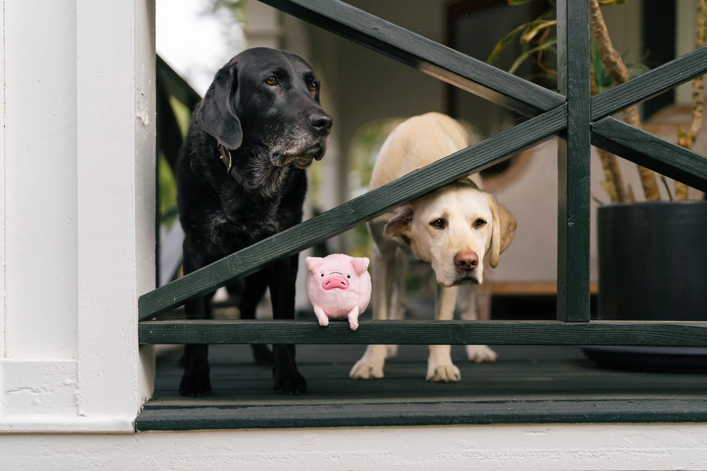 Barnyard Buddies Toys