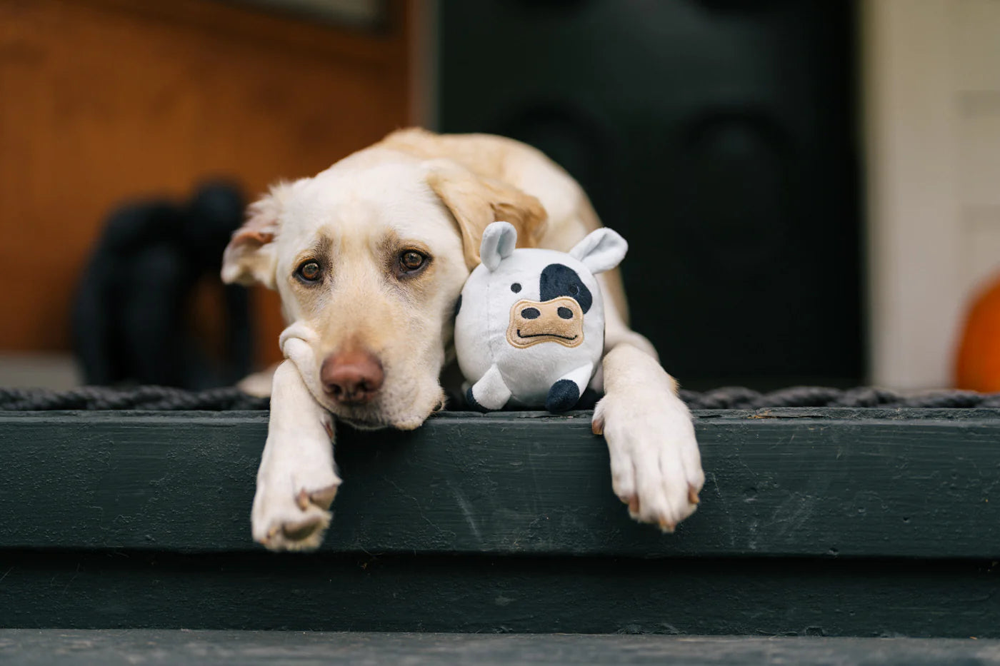 Barnyard Buddies Toys