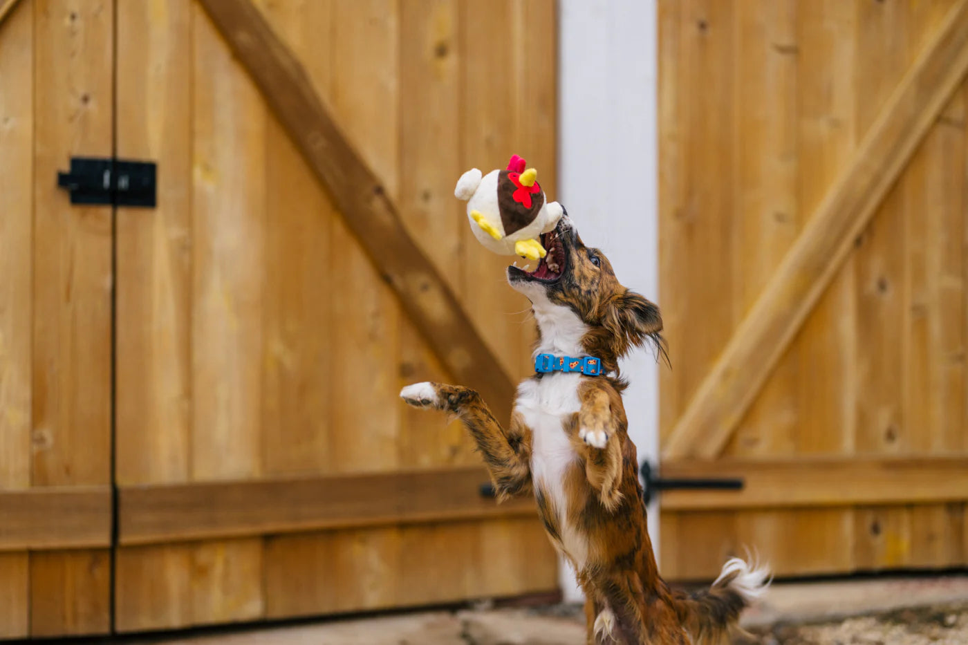 Barnyard Buddies Toys