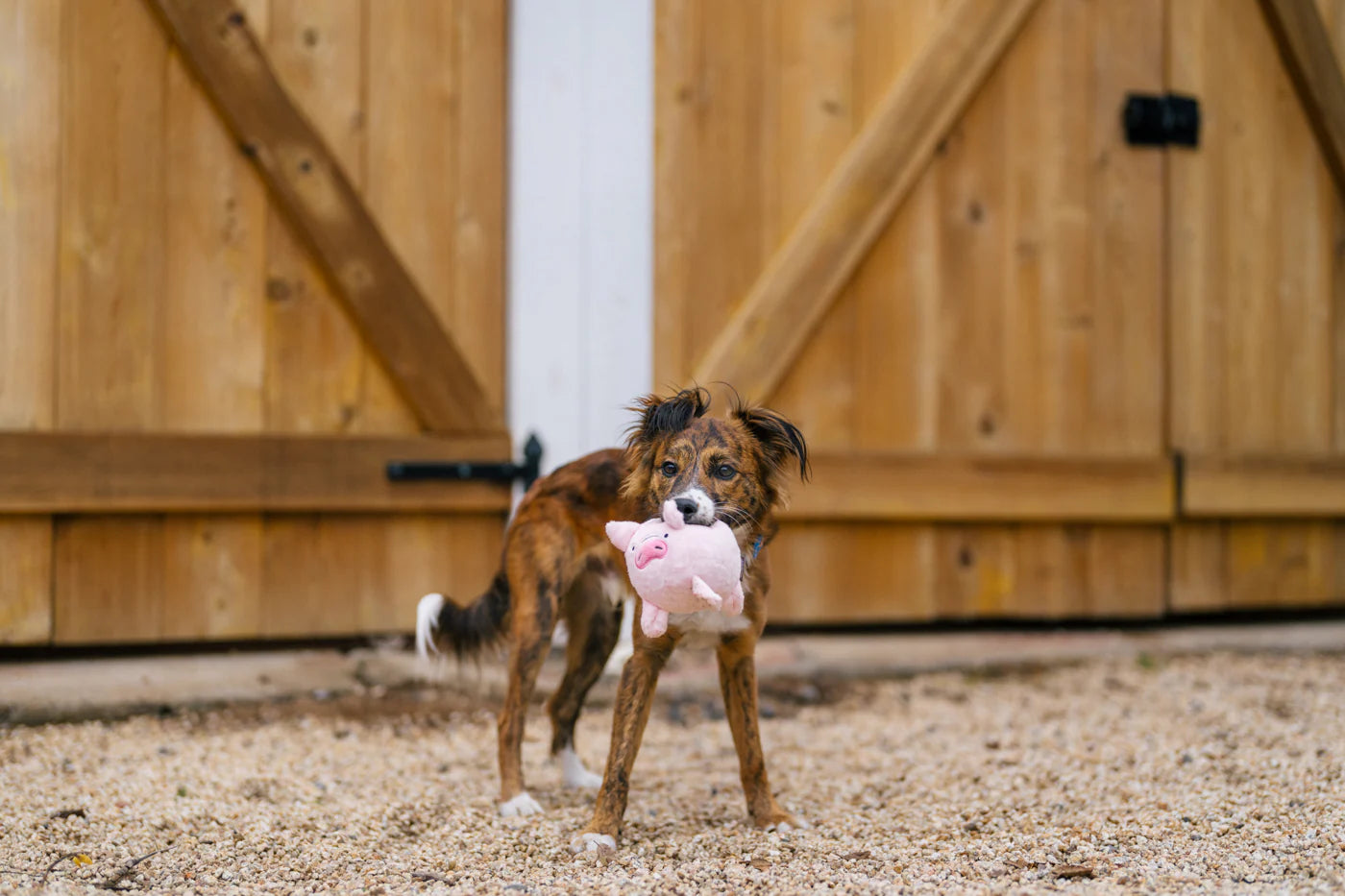 Barnyard Buddies Toys