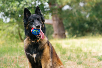 Go-Go Astro Ball