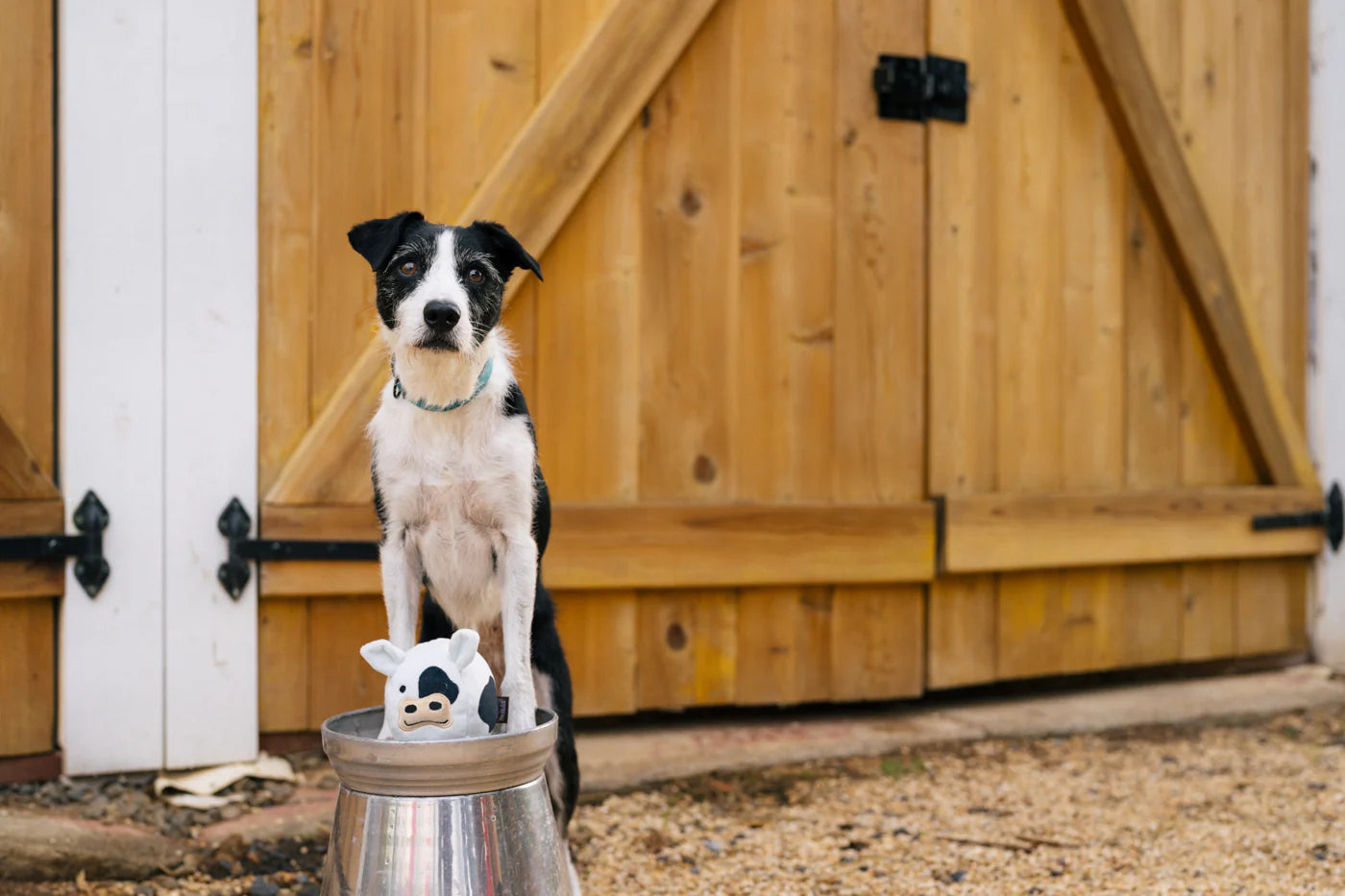 Barnyard Buddies Toys