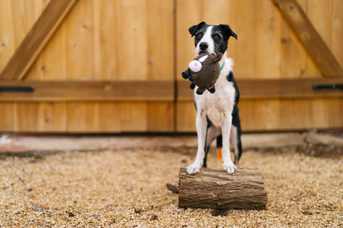 Barnyard Buddies Toys