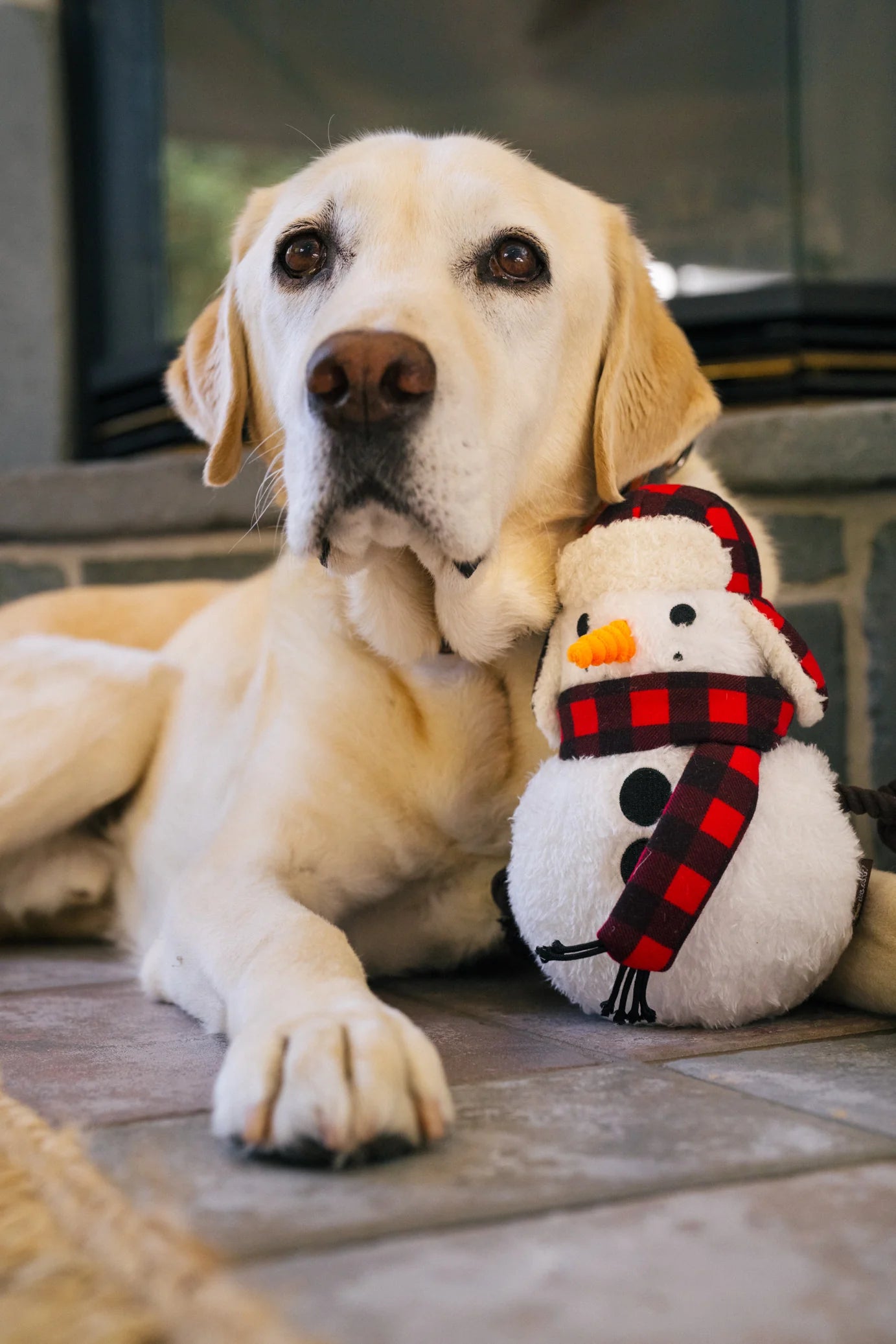 Home For The Holiday Toys | Christmas