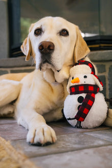 Home For The Holiday Toys | Christmas