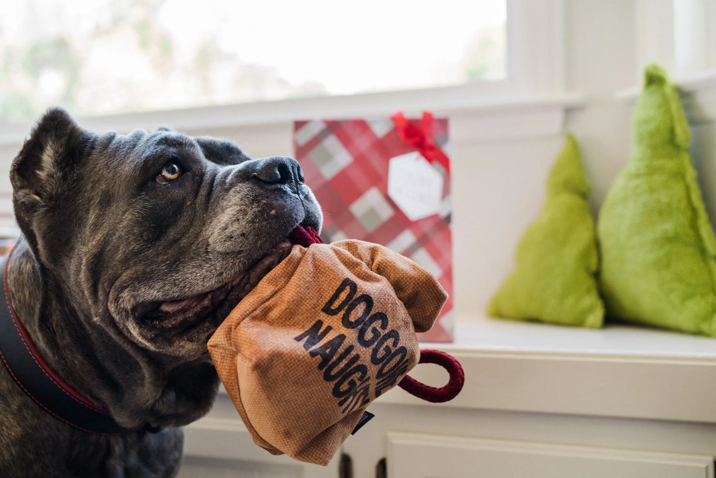 Home For The Holiday Toys | Christmas