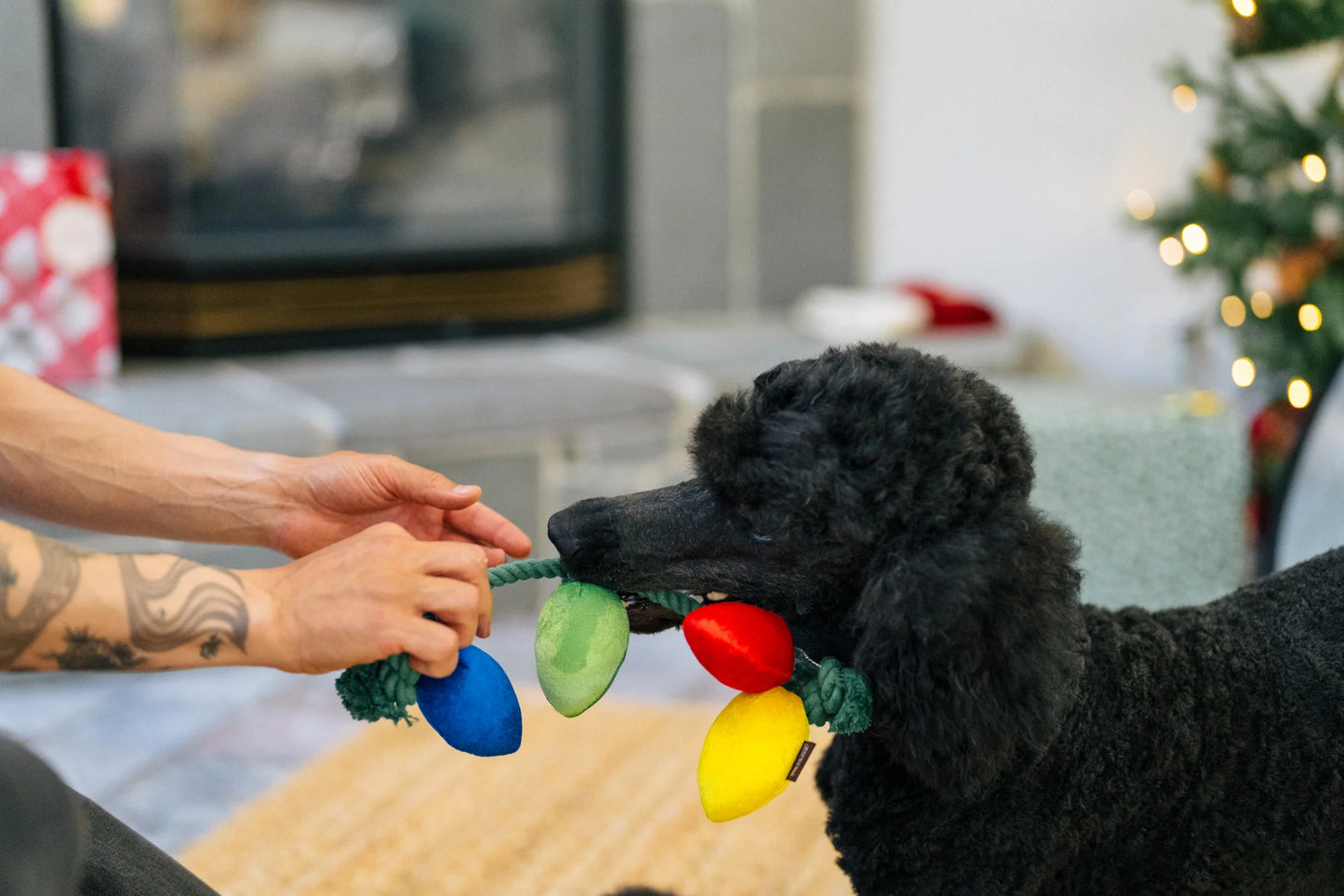 Home For The Holiday Toys | Christmas