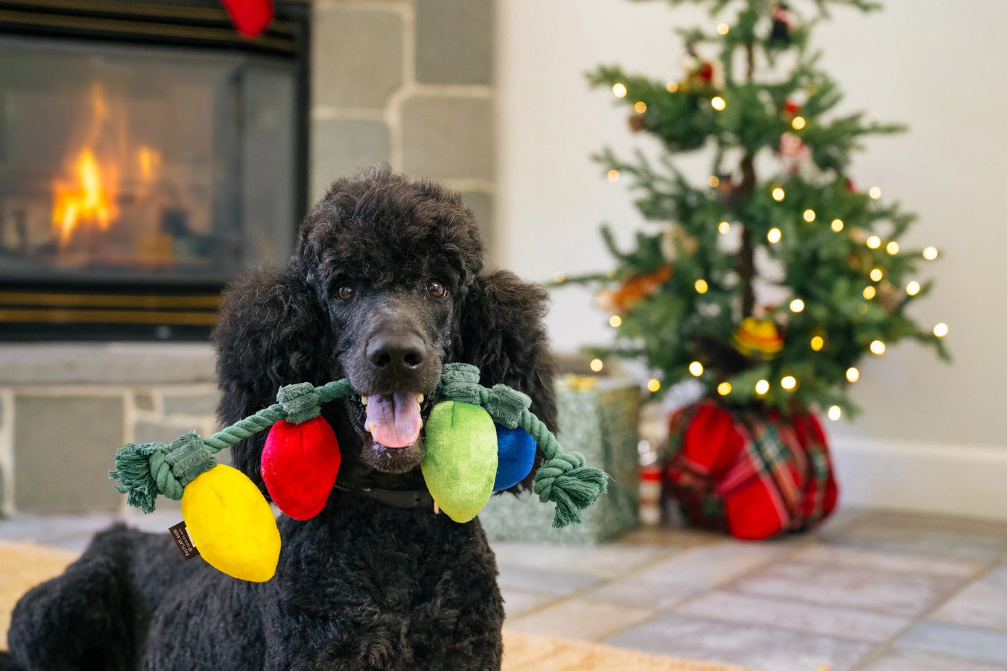 Home For The Holiday Toys | Christmas