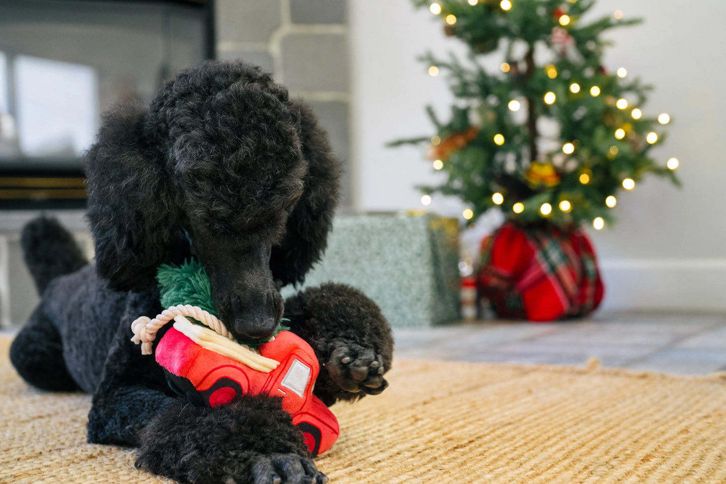Home For The Holiday Toys | Christmas