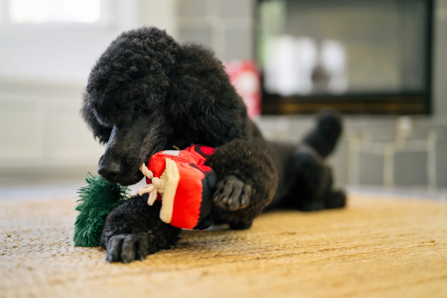 Home For The Holiday Toys | Christmas