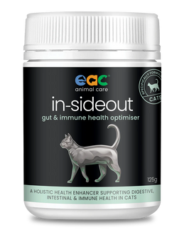 Inside Out Cat