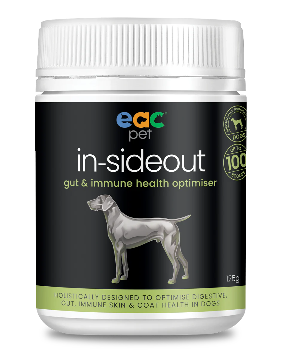 Inside Out Dog