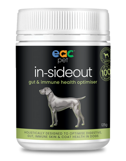 Inside Out Dog