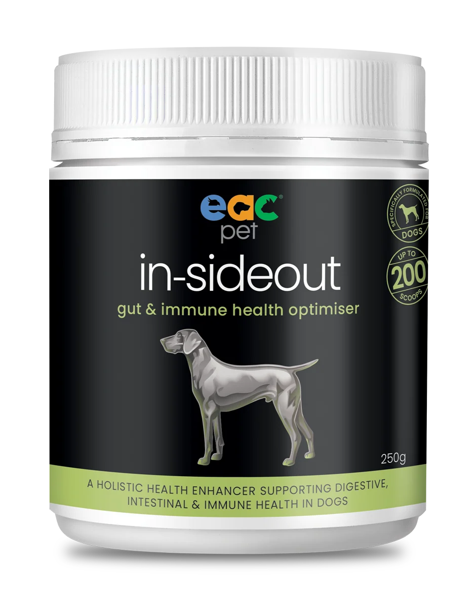 Inside Out Dog