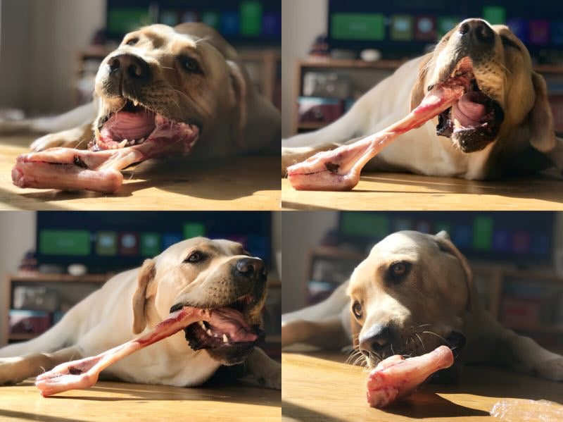 Organic Lamb Bones