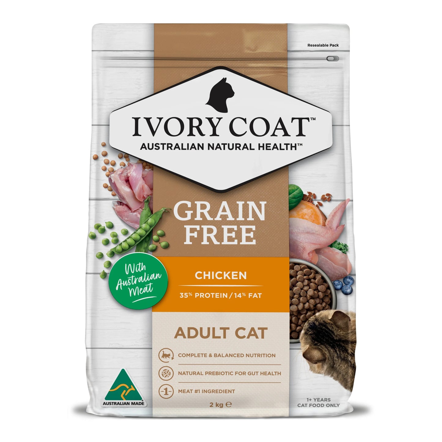 Ivory Coat Cat Chicken