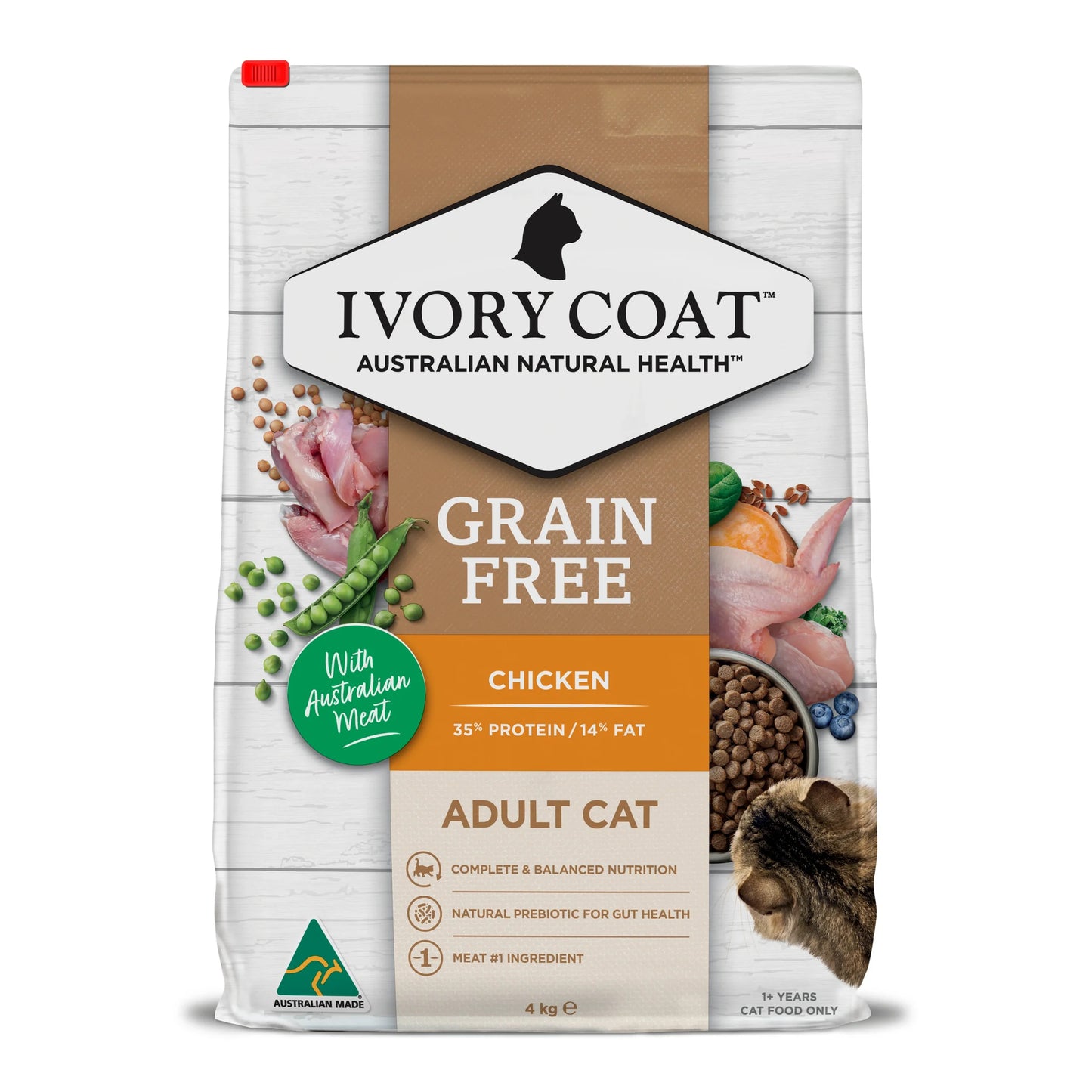 Ivory Coat Cat Chicken
