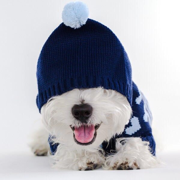 Pet Jumper with Hearts Online Only