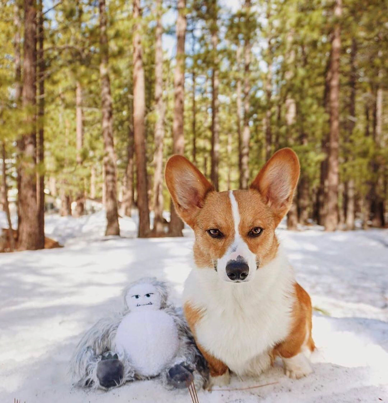 Mythical Creatures Toys