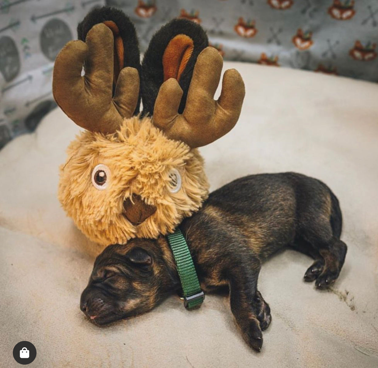 Mythical Creatures Toys