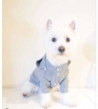 Removable Hood Pet Cardigan Online Only