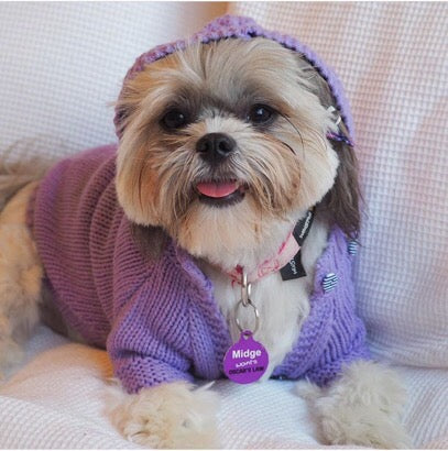 Removable Hood Pet Cardigan Online Only
