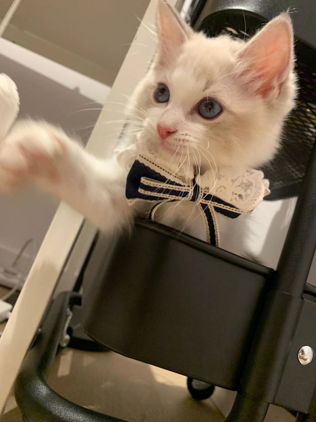 脸红