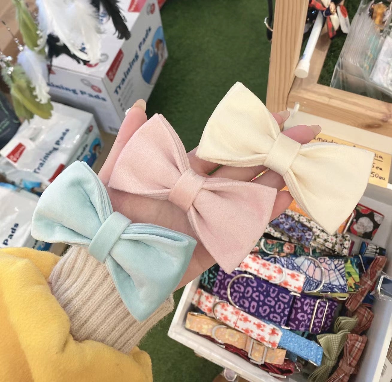 Champagne Pink Velour Collar Leash Bowtie