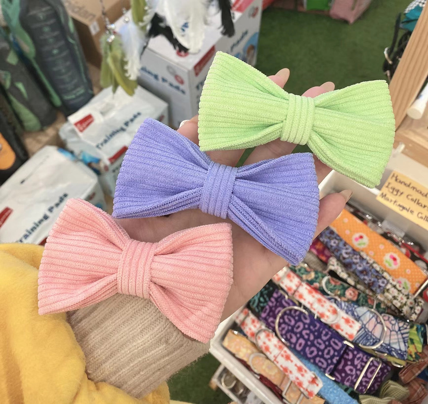 Bright Purple Collar Leash Bowtie