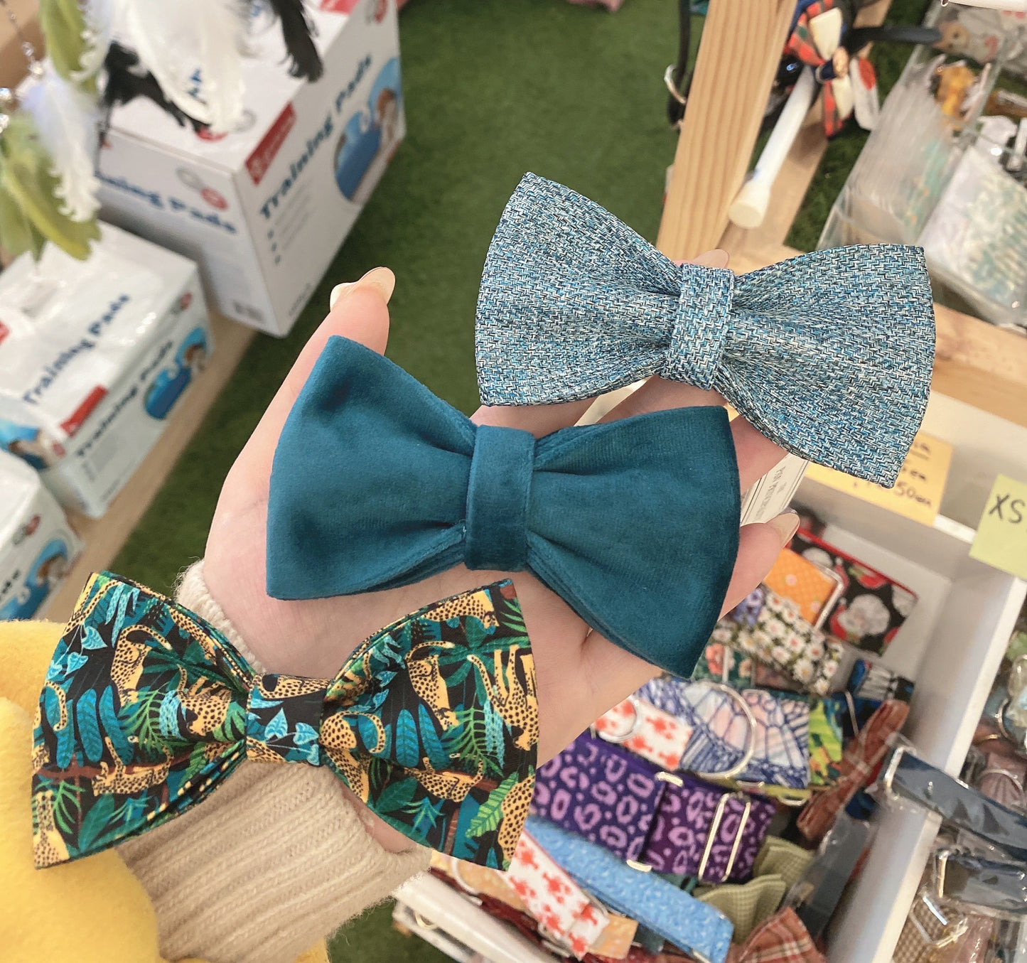 Leopard Collar Leash Bowtie