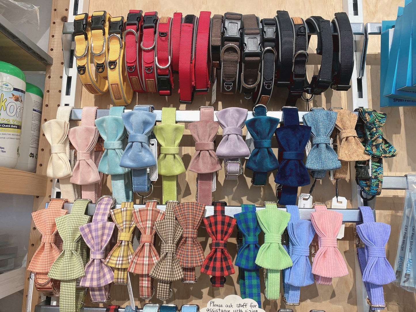 Purple Velour Collar Leash Bowtie