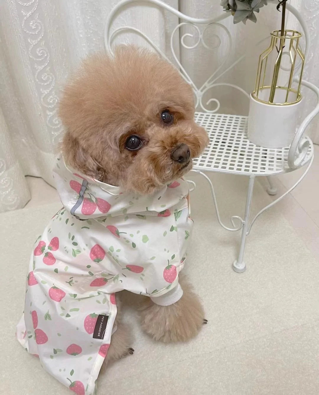 Strawberry Raincoat M-L