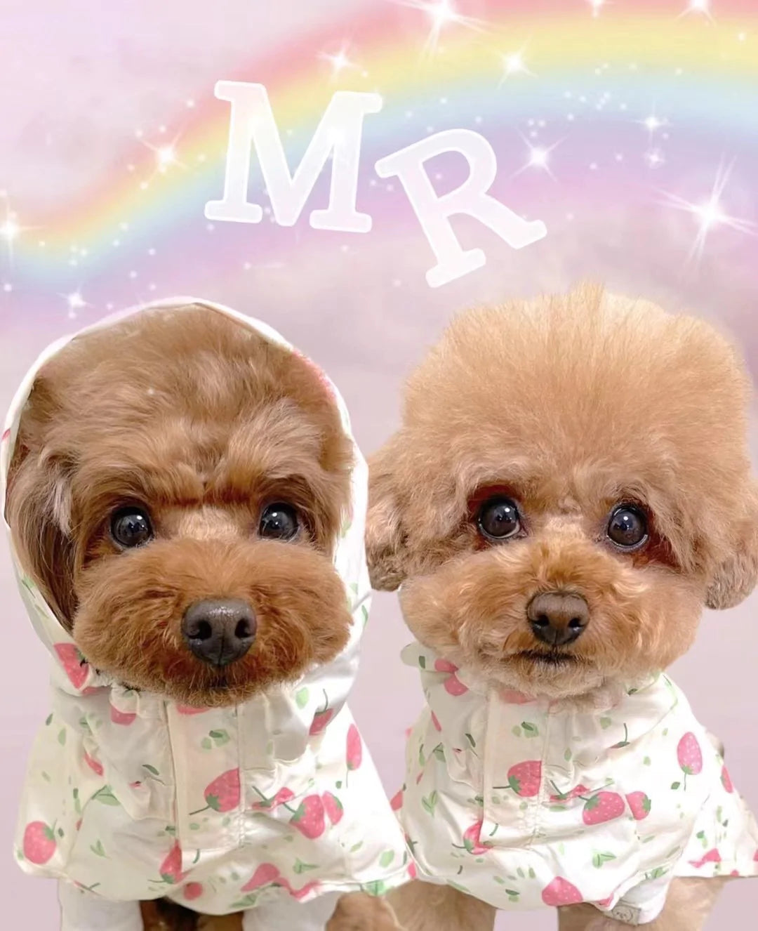 Strawberry Raincoat M-L