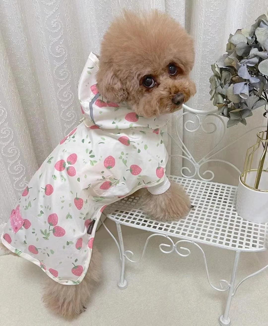 Strawberry Raincoat M-L