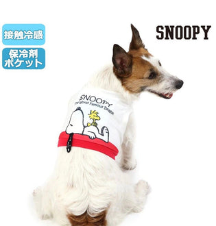 Japanese Snoopy Crop Top