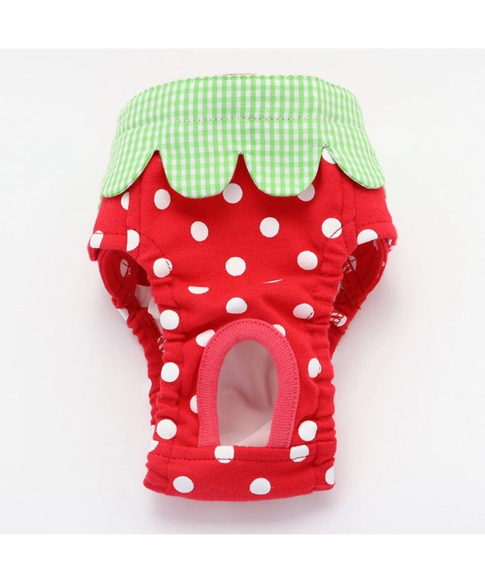 Japanese Hygiene Panty