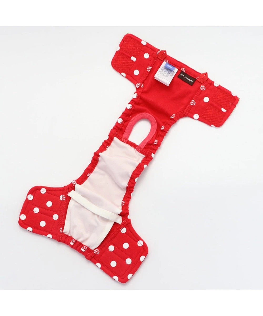 Japanese Hygiene Panty