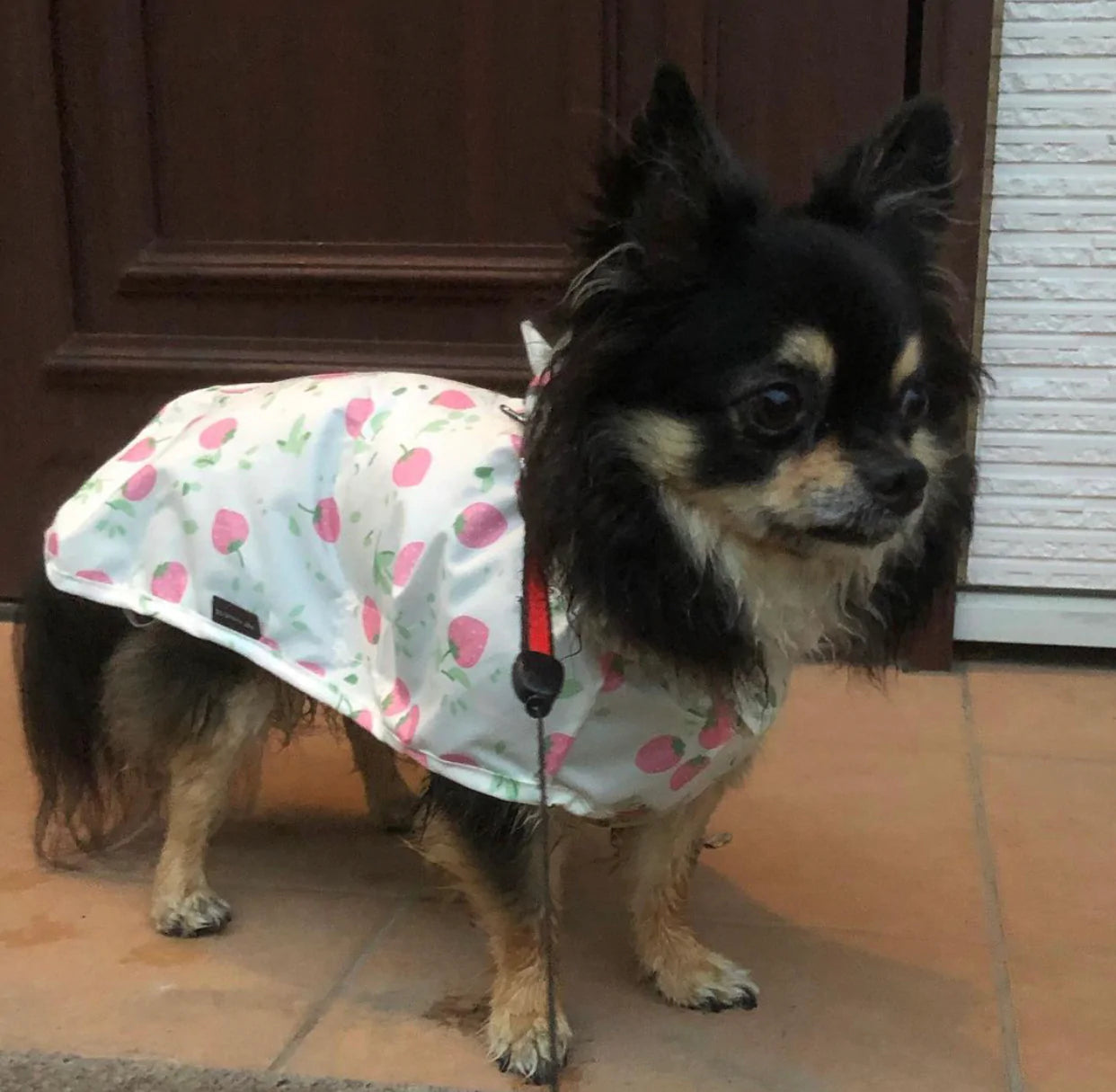 Strawberry Raincoat M-L