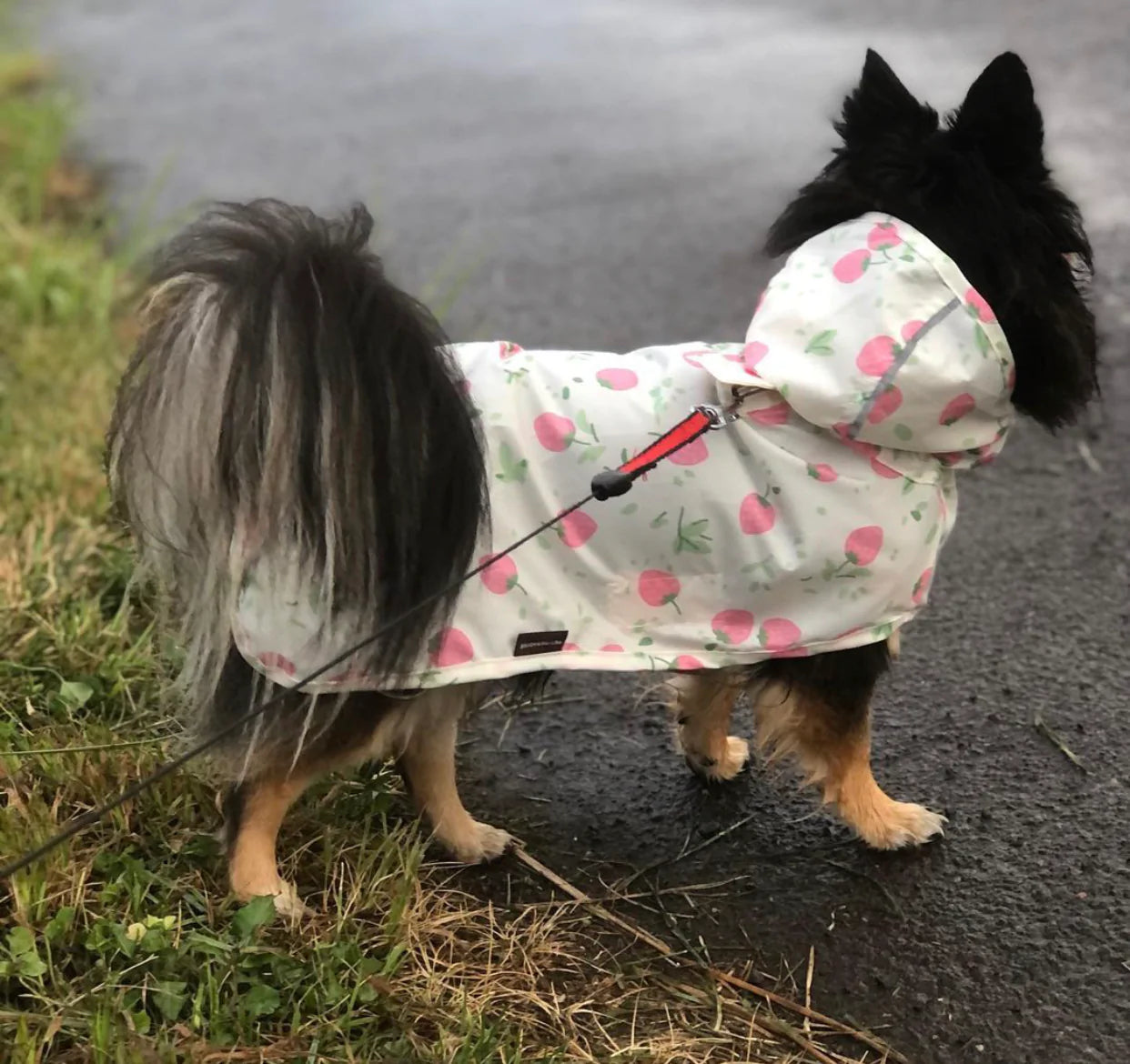 Strawberry Raincoat M-L