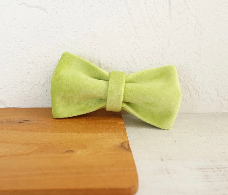 Green Velour Collar Leash Bowtie