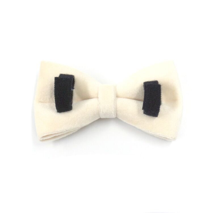 White Velour Collar Leash Bowtie