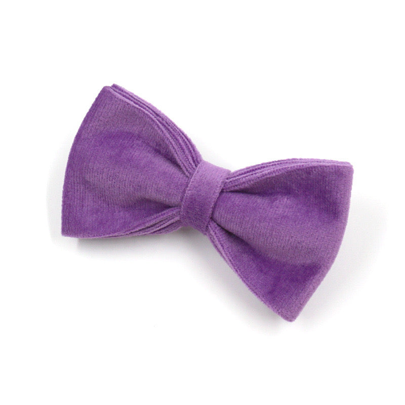 Purple Velour Collar Leash Bowtie