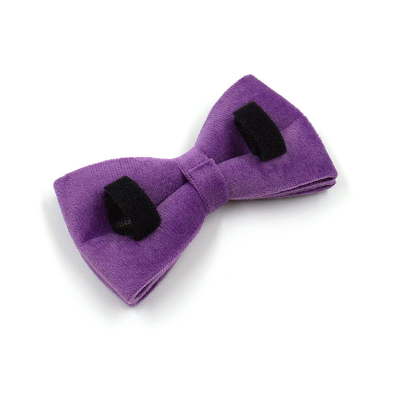Purple Velour Collar Leash Bowtie