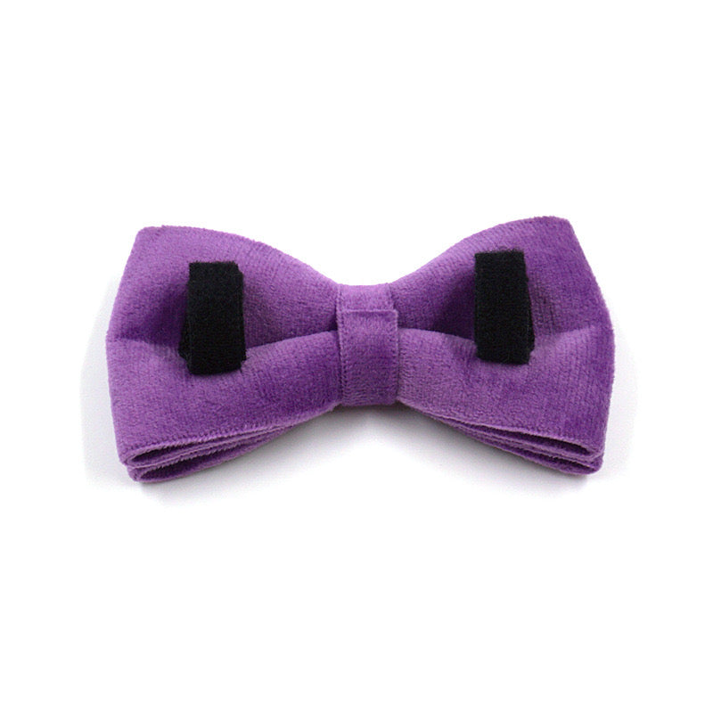 Purple Velour Collar Leash Bowtie