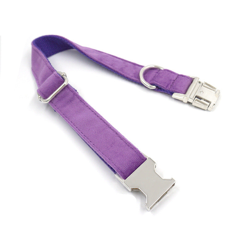 Purple Velour Collar Leash Bowtie