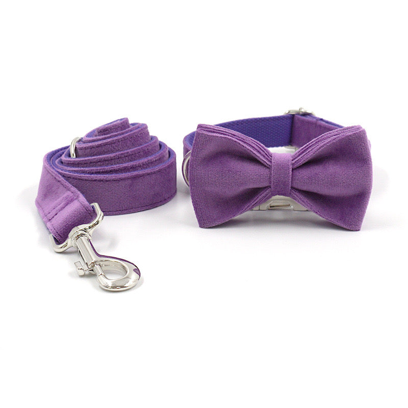 Purple Velour Collar Leash Bowtie