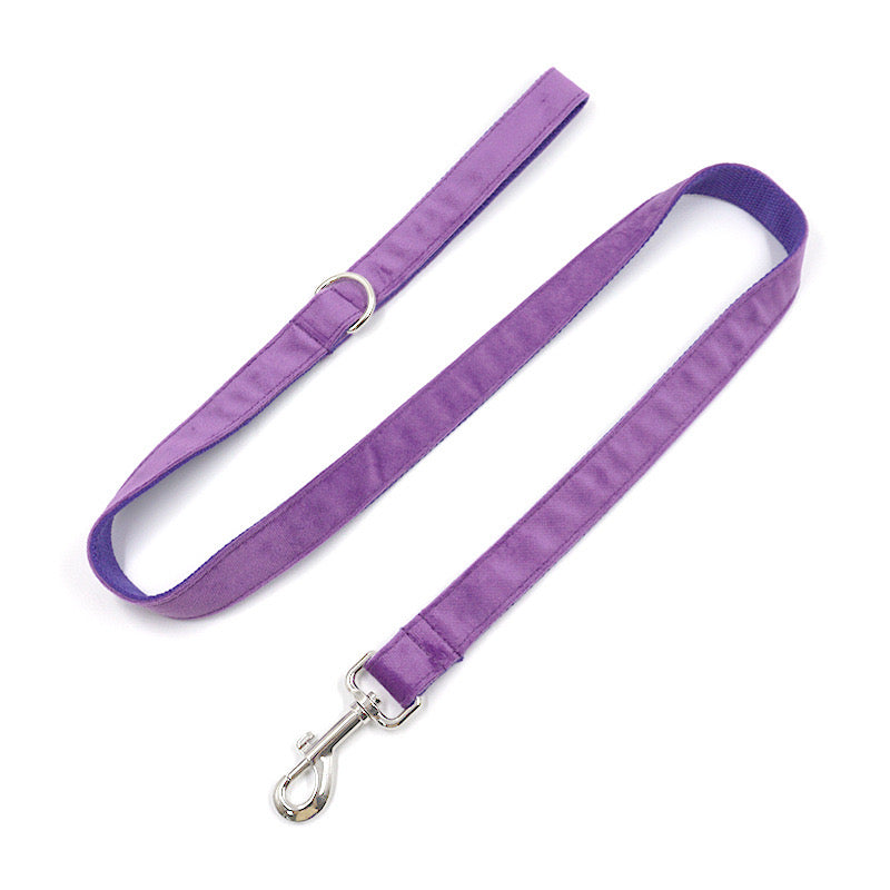 Purple Velour Collar Leash Bowtie