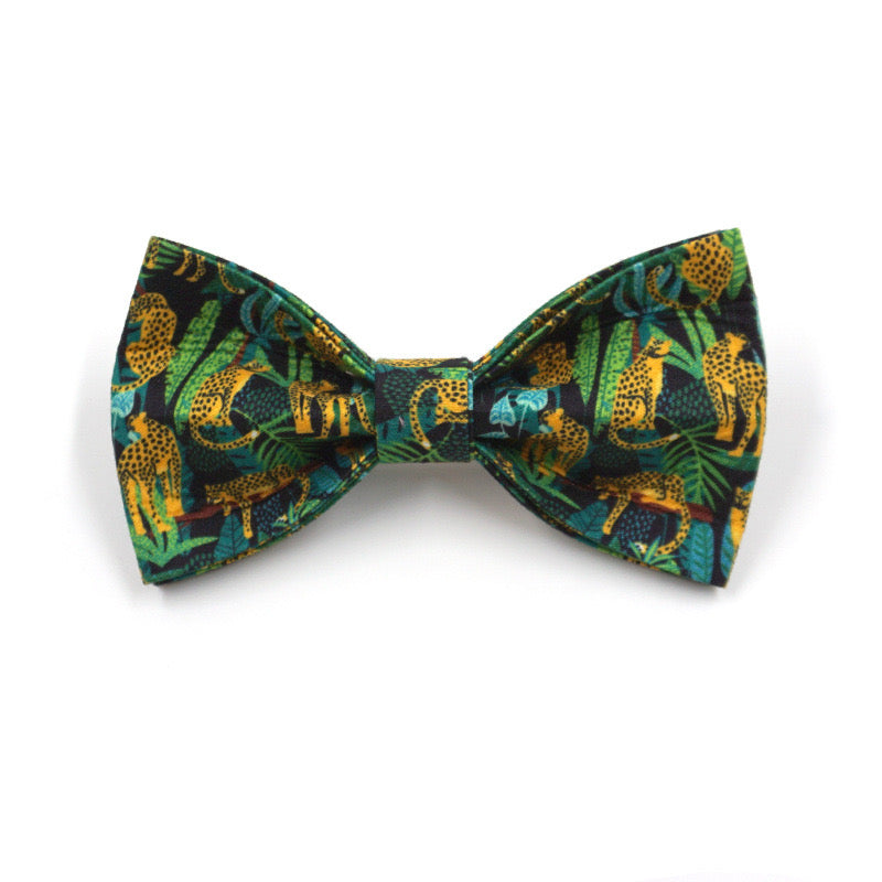 Leopard Collar Leash Bowtie