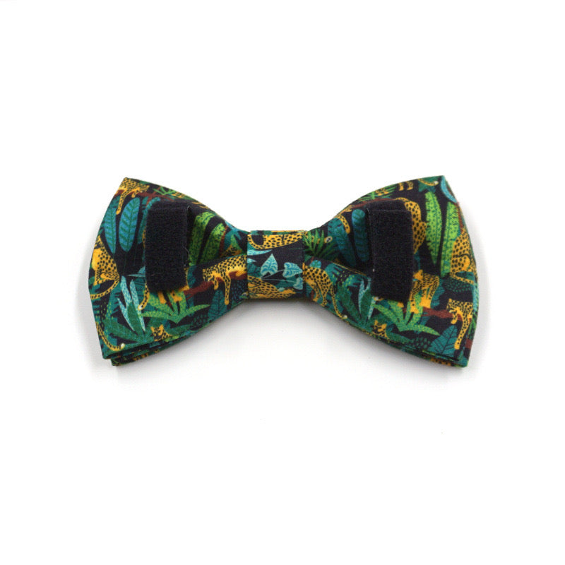 Leopard Collar Leash Bowtie
