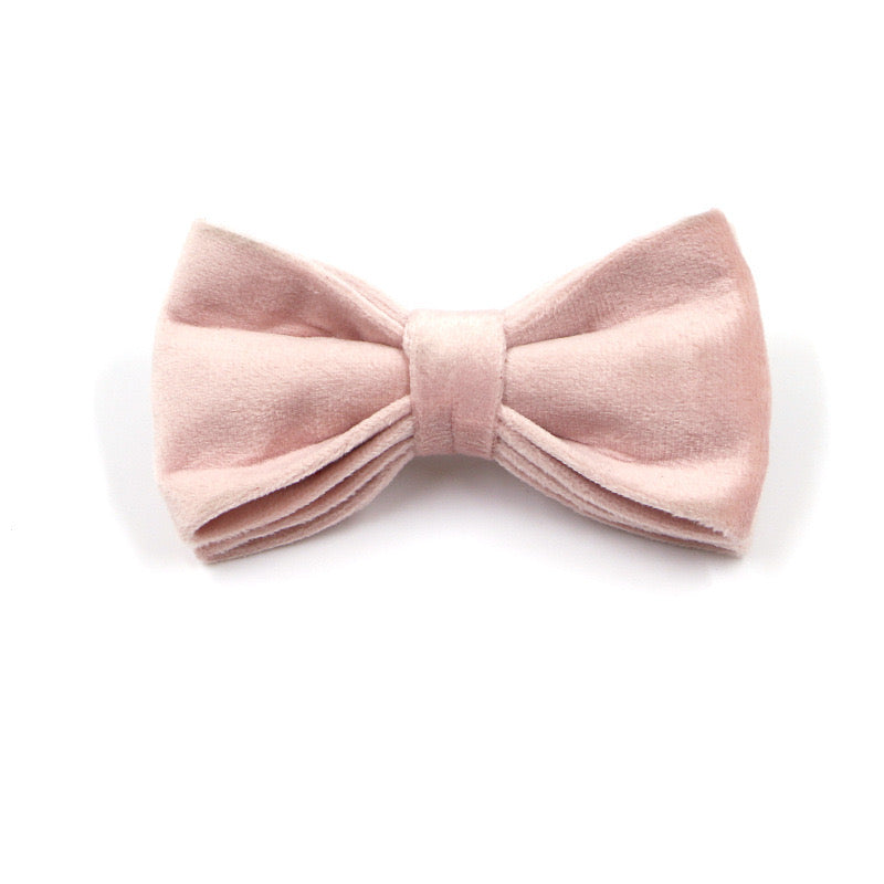 Champagne Pink Velour Collar Leash Bowtie